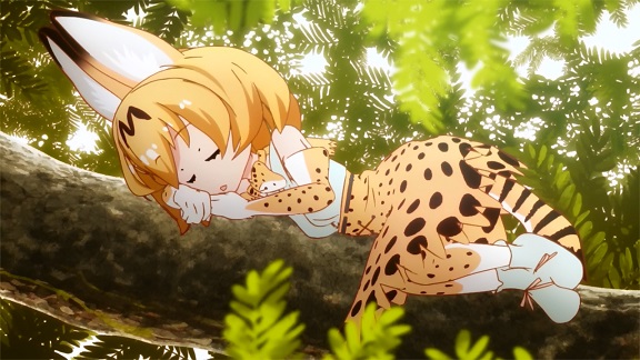 Kemono Friends: serval sleeping