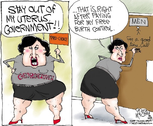 cartoon about Sandra Fluke