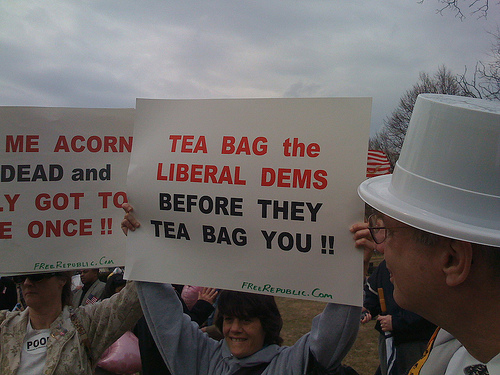 Teabag the liberal dems before they teabag you