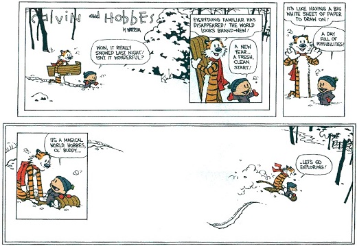 the final Calvin and Hobbes