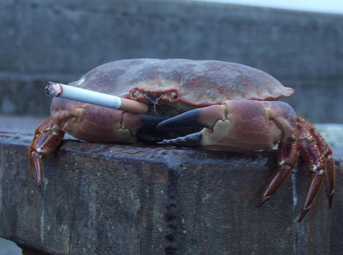 a crab smoking a cigarette